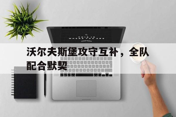 沃尔夫斯堡攻守互补，全队配合默契的简单介绍