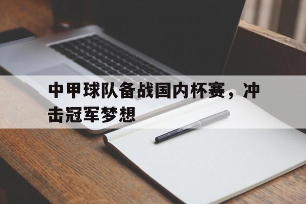 包含中甲球队备战国内杯赛，冲击冠军梦想的词条