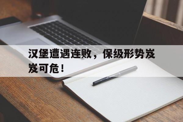 汉堡遭遇连败，保级形势岌岌可危！的简单介绍