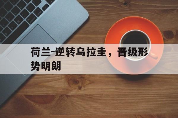 荷兰-逆转乌拉圭，晋级形势明朗的简单介绍