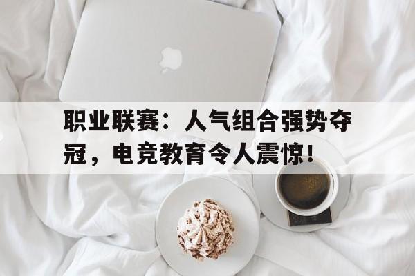 职业联赛：人气组合强势夺冠，电竞教育令人震惊！电竞职业队sy